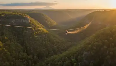Zipline Courses guided tour